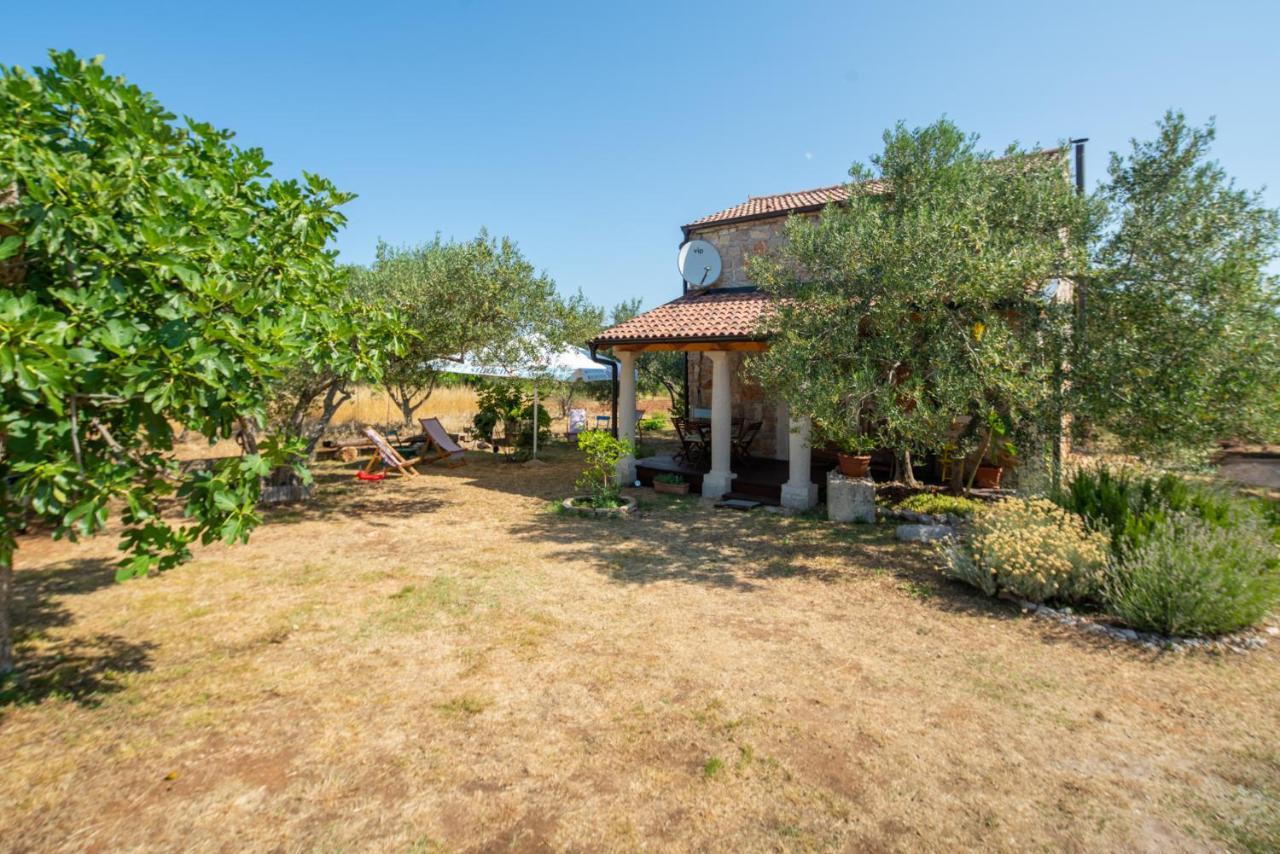 Villa Flaveico Pašman Zewnętrze zdjęcie