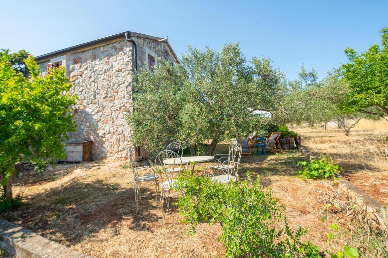 Villa Flaveico Pašman Zewnętrze zdjęcie